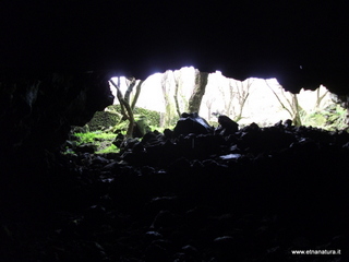 conco di Liricio-24-03-2013 10-28-04